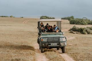 Hlosi Game Lodge - Amakhala Game Reserve - Amakhala Game Reserve - 2