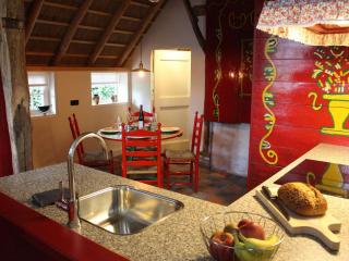 Farmhouse in Staphorst with sauna - 1