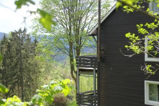 Fewo Nartura: Modern – Idyllisch – stilvoll – ruhig - Sankt Andreasberg - 3