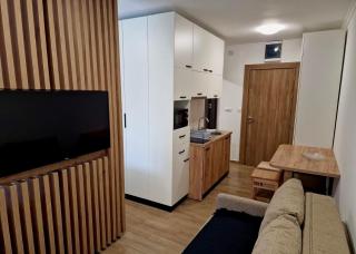 Sunčana Planina Kopaonik - 9