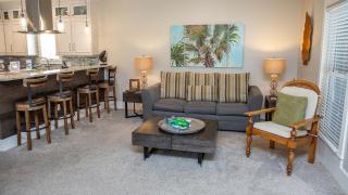 Dolphin House - Santa Rosa Beach - 4