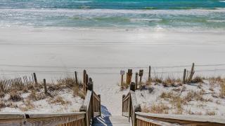 Margarita Days - Seagrove Beach - 8