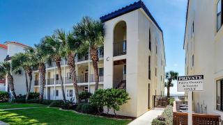 Palms C8 - 4