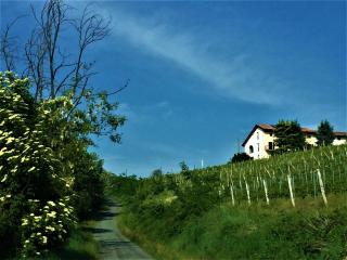 Cascina Malinverni - 3