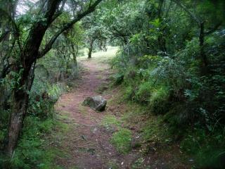 Woodcroft - Lidgetton - 7
