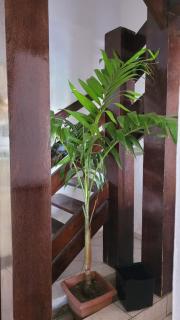 Casa Azul Sapetinga - 7