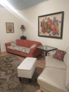 Loft Apartment w River Views - Salisbury - 8