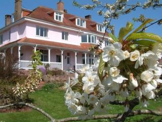 Dunkery Beacon Country House - Wootton Courtenay - 0