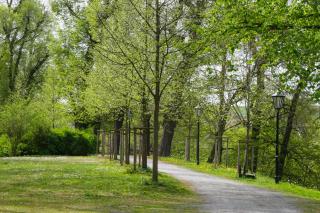 Ferienwohnungen Berner - Droyßig - 7
