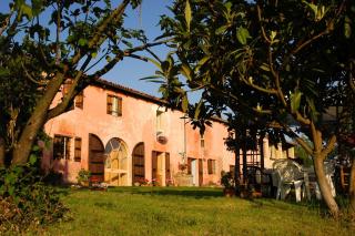 Cascina Rosa B&B - Grazzano Badoglio - 2