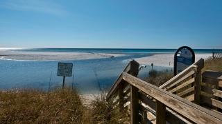 Palmetto Cottage - Santa Rosa Beach - 6