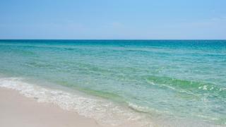 C'est LaLa Vie - Santa Rosa Beach - 6
