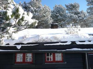 Norwegian mountain cabin all alone in the wild - 6