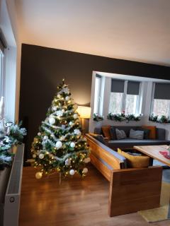 Flow House - Satu Mare - 4