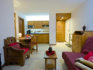 Happy Moose - Cosy Mont Blanc View apartment - Chamonix - 3