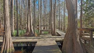 Mermaids' Rest - Santa Rosa Beach - 1