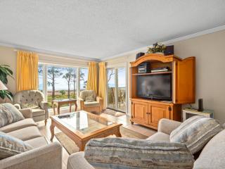 Shorewood 308 - Hilton Head Island - 7