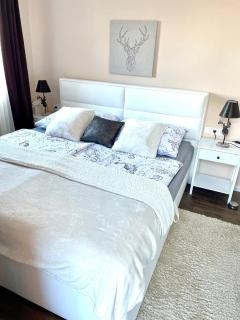 Diamond Suite - Panorama Spa Lodges DAS SCHILLER - 5