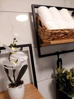 LOTUS Apartman - Vrnjačka Banja - 8