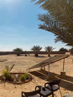 Siwa Desert Home - 7