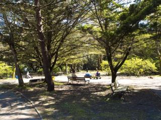 Charmant T3 proche plage, terrasse et jardin clos, quartier calme. - FR-1-92-879 - Les Sables-dʼOlonne - 8