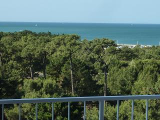 T2 rénové avec balcon, parking couvert, animaux admis - FR-1-92-583 - Les Sables-dʼOlonne - 4
