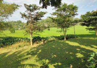 Villa Peacock - Galle - 9