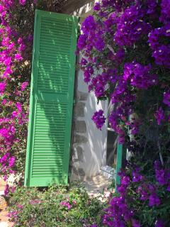 Residence Alouettes - Hyères - 3