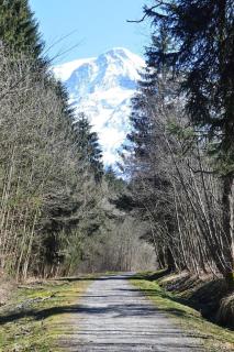 2 bedroom Apartment in Les Houches Stone's throw from Prairon lift - Les Houches - 2