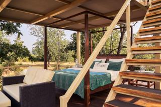 Bagh Tola, Bandhavgarh Tiger Reserve - 1
