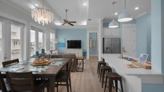 Dune Dreaming - Inlet Beach - 5