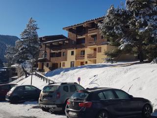 Résidence les Campanules appartement entièrement rénové à 100m des pistes - Villarodin-Bourget - 9