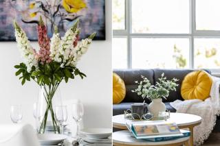 The Meadow Gardens - Melbourne - 2