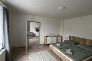 Dům nad jezerem - apartmán II. - Most - 9