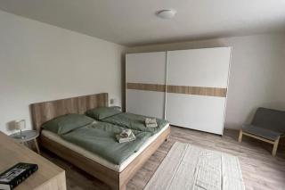 Dům nad jezerem - apartmán II. - Most - 6