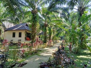 Khao Sok Palm Garden Resort - Khao Sok National Park - 6