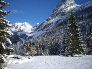 Montana 3 - Pralognan-la-Vanoise - 7