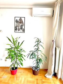 Vintage Bucharest apartment - Bucarest - 5