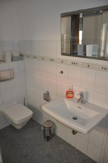 Ferienwohnung an der Elbe - Stadt Wehlen - 1