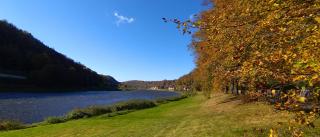 Ferienwohnung an der Elbe - 0