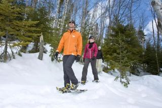 Initial / Solden / MSA - 1