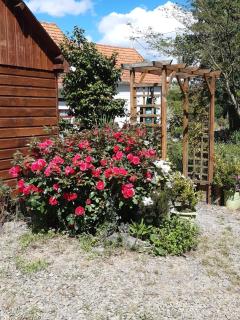 Chalet insolite - 1