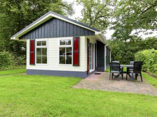 Chalet in Netherlands near Forest & Water - Dalfsen - 0