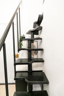 Le studio de belleville 2 à 4 personnes - París - 5