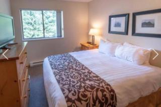 Whistler Steps to Village Sleeps 8 + Jacuz + Park - 5