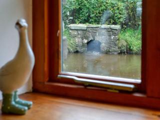 Mallard - Llangennith - 4