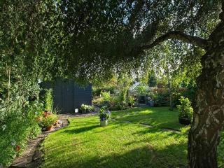 Lower Canterbury House - 7