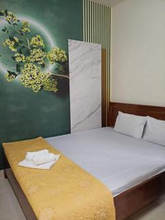 Tay Dai Duong Guesthouse - Hai Phong - 7