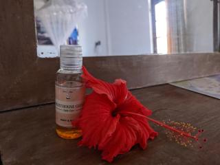 Lighthouse Guest - Galle - 2