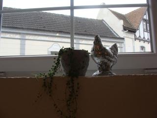 Cottage Hühnerstall - Zülpich - 4